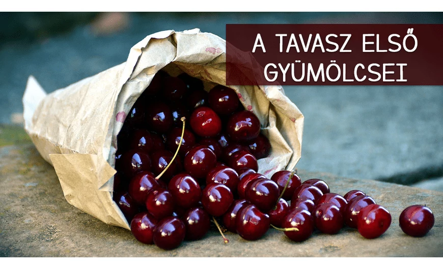 Ismerd meg a tavasz első vitaminbombáit