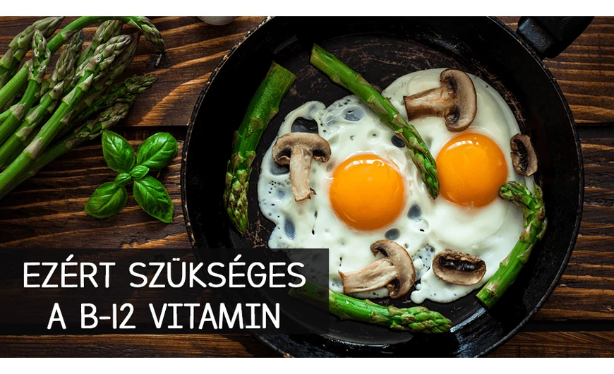 Fontos a B12- vitamin a szervezet számára!