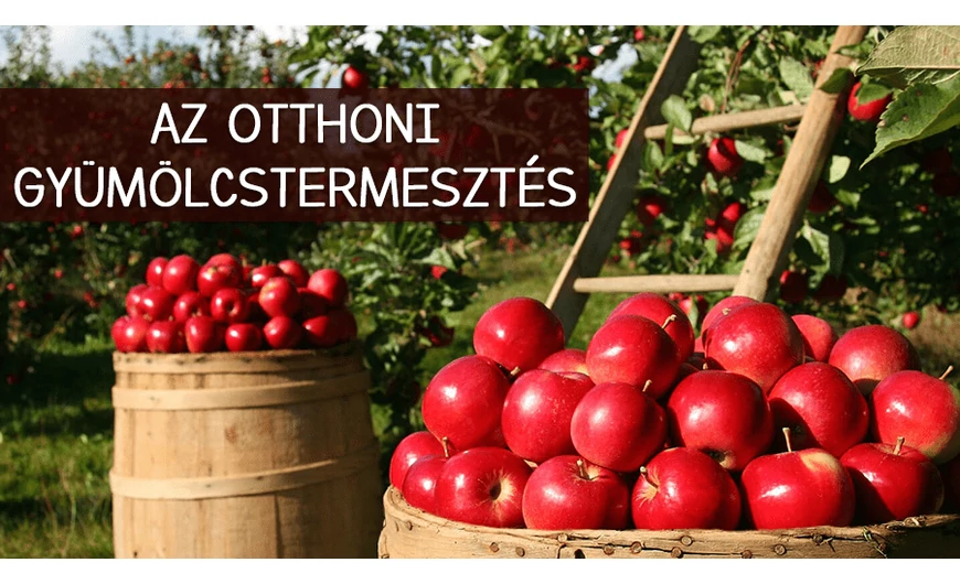 Az otthoni gyümölcstermesztés előnyei