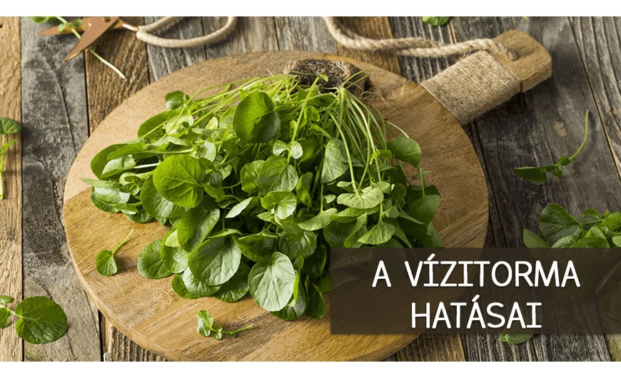 A vízitorma nagyszerű élettani hatásai