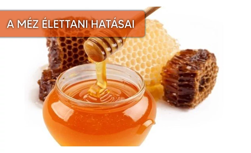 A méz jótékony hatásai!