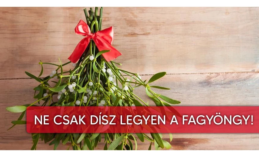 Karácsonyi Fagyöngy: ne csak az ajtó fölé kerüljön!