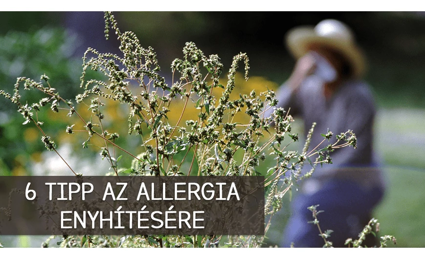 6 enyhítő tipp allergiásoknak