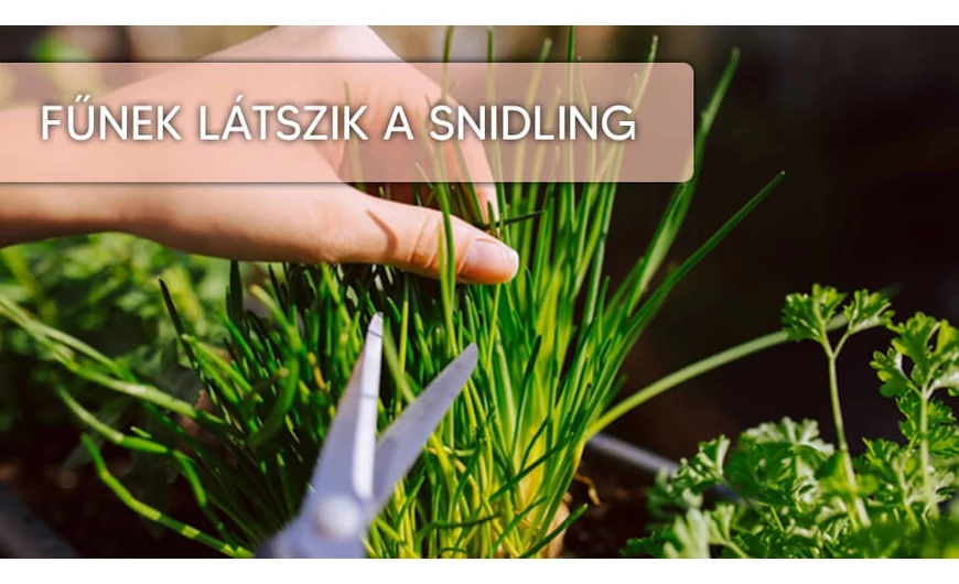Ismerd meg a fűnek látszó snidlinget