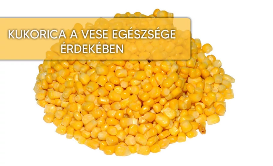  Csemegekukorica, a vese gyógynövénye