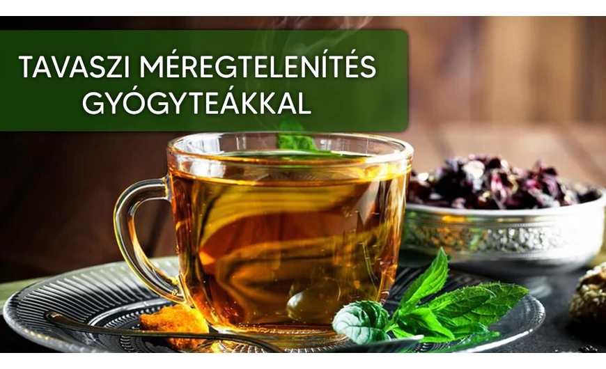 Tavaszi méregtelenítés gyógyteákkal