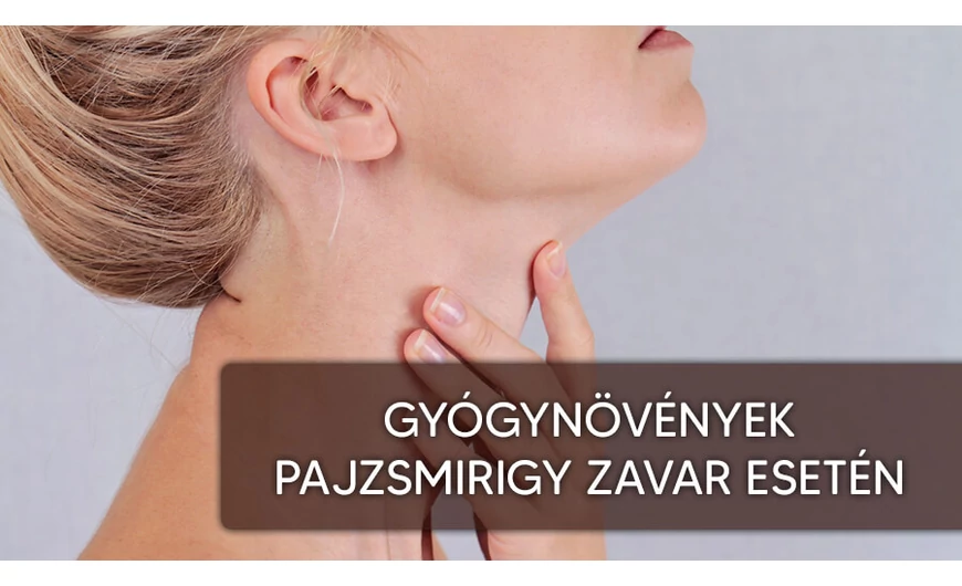 TOP 5 gyógynövény pajzsmirigy zavar esetén