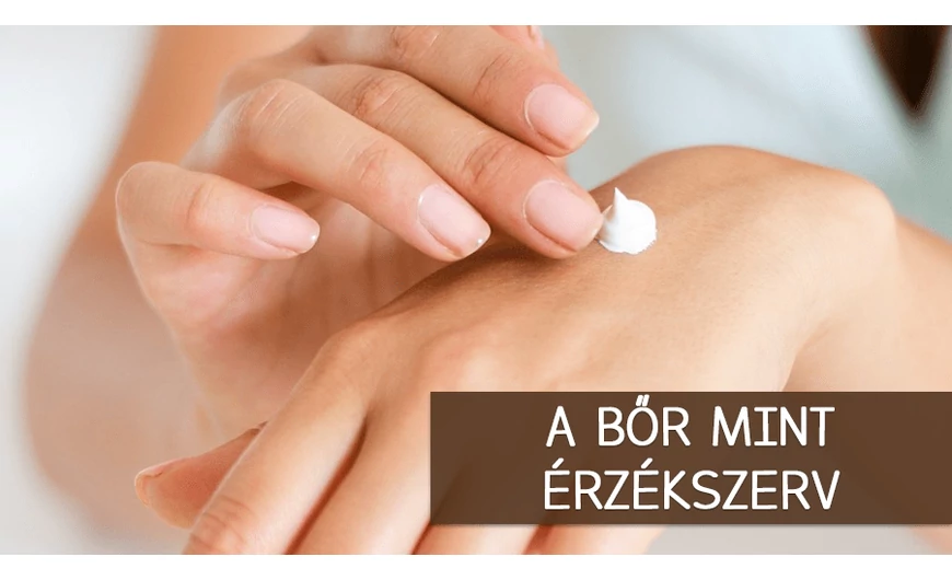 Legnagyobb szervünk, a bőr