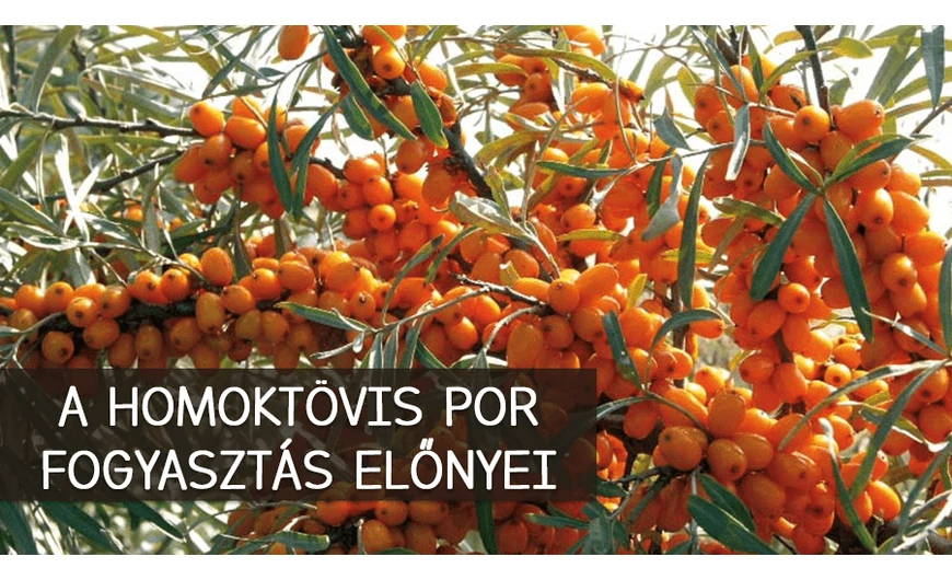 A homoktövis por fogyasztás előnyei
