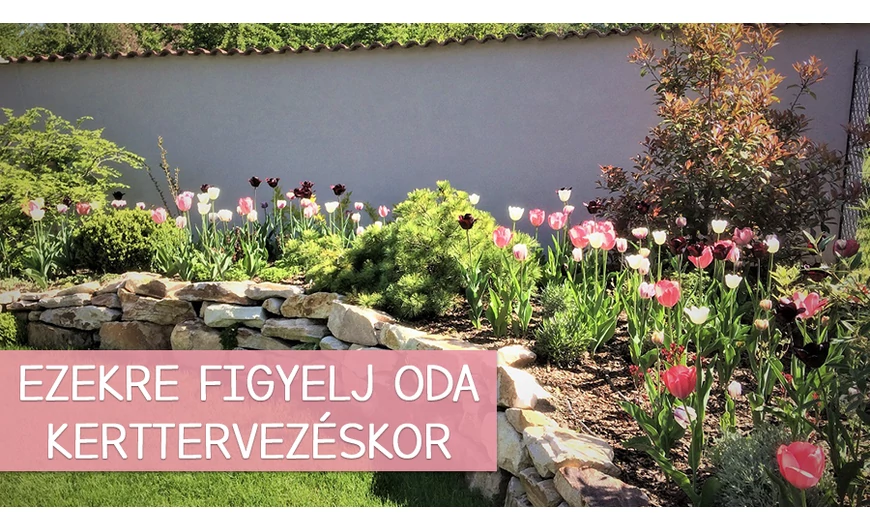 Ezekre kell odafigyelni kerttervezéskor