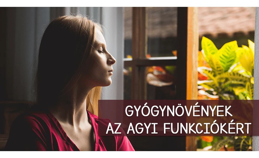 Ezek a gyógynövények egészségesen tartják az agyadat