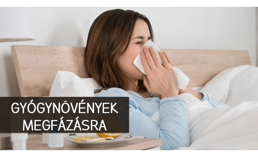 A leghatásosabb gyógynövények megfázás ellen