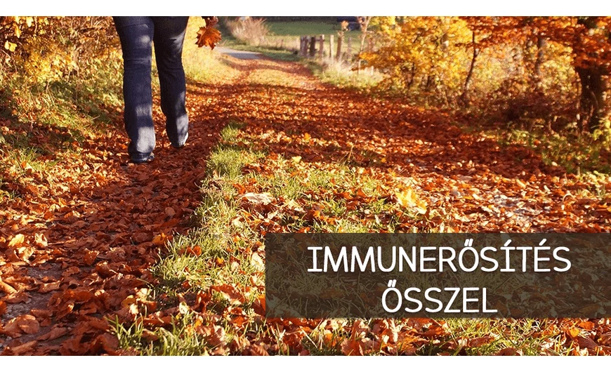Őszi immunerősítés