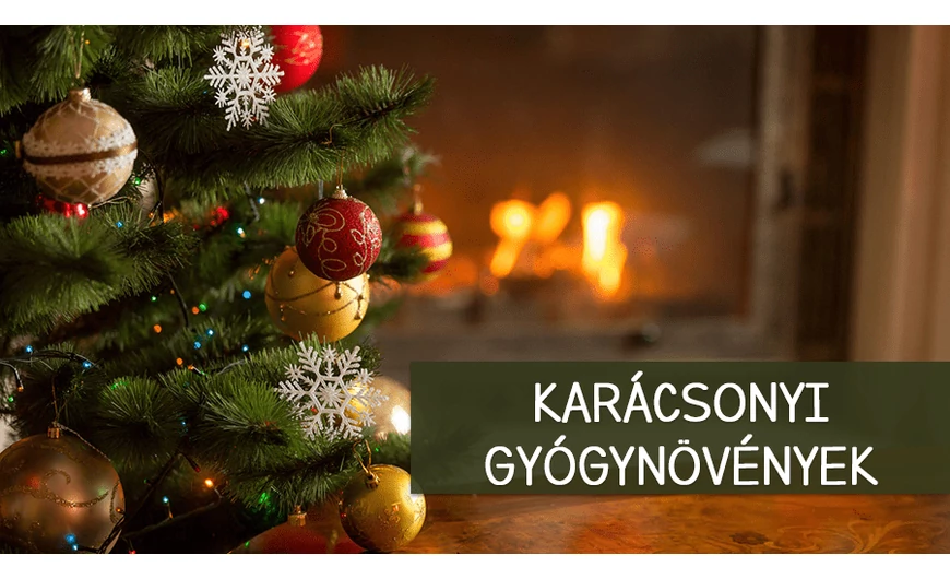Karácsonyi gyógynövények 