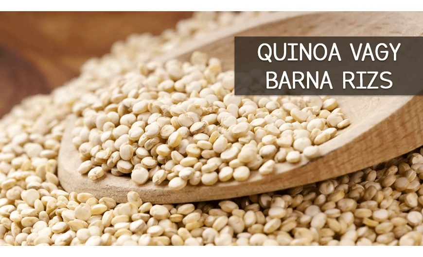 Melyik az egészségesebb: a quinoa vagy a barna rizs?