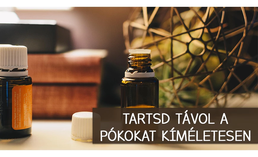 Tedd pókmentessé a lakásodat kíméletes módon!