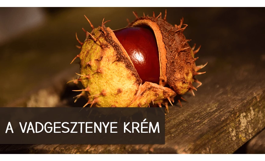 Egy természetes és persze hatásos vadgesztenye krém