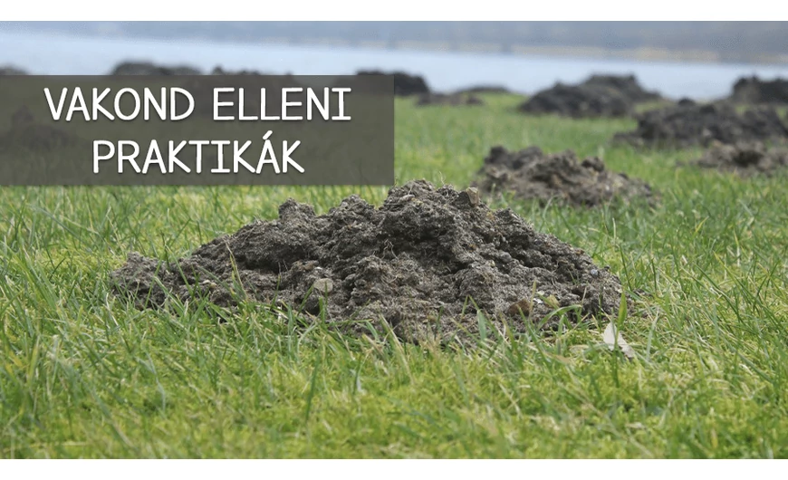 Vakond elleni praktikák