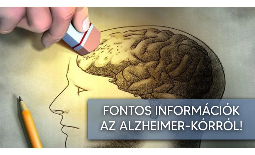 Néhány érdekesség az Alzheimer-kórról!