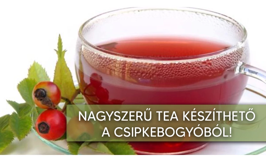 Csipkebogyó: barátunk a hidegben