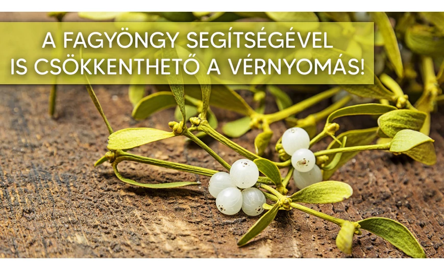 A fagyöngy is segíthet a vérnyomáscsökkentésben!