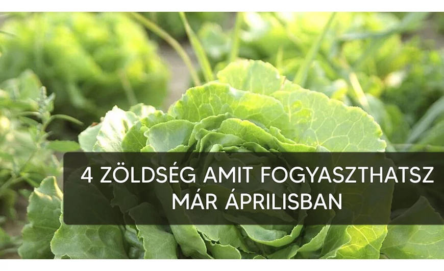 4 zöldség amit áprilisban már fogyaszthatsz