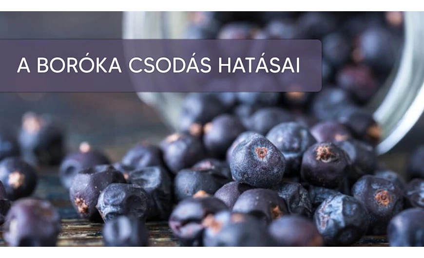 A boróka 3 szuperképessége
