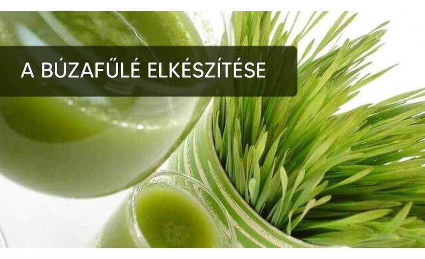 Csodás hatásai vannak a búzafűlének és könnyen elkészíthető