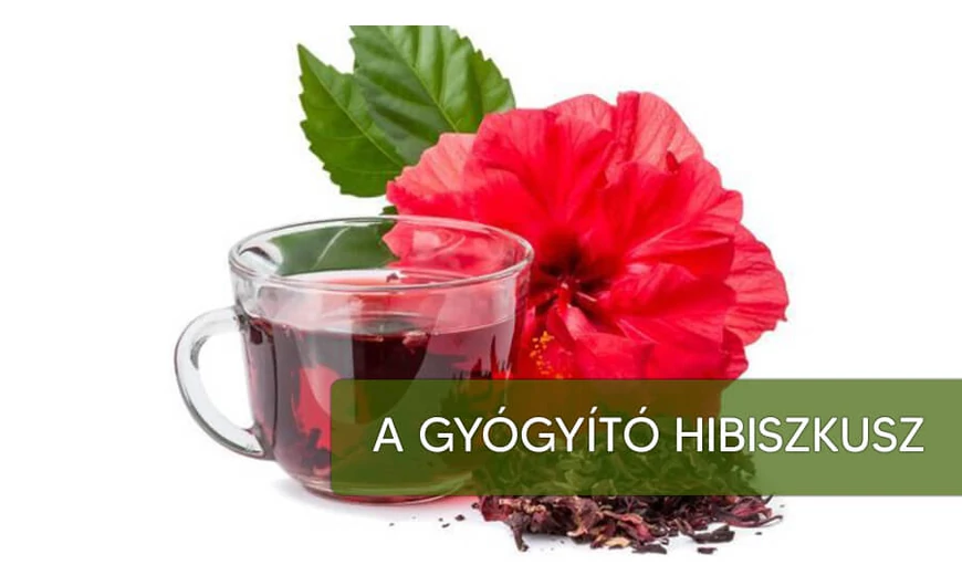 A gyönyörű, gyógyító hibiszkusz
