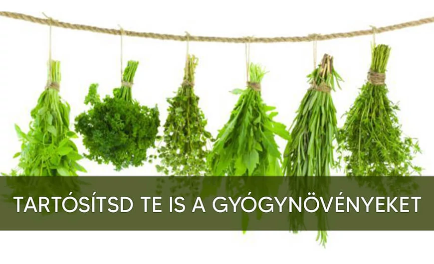 Tartósítsd a gyógynövényeket!