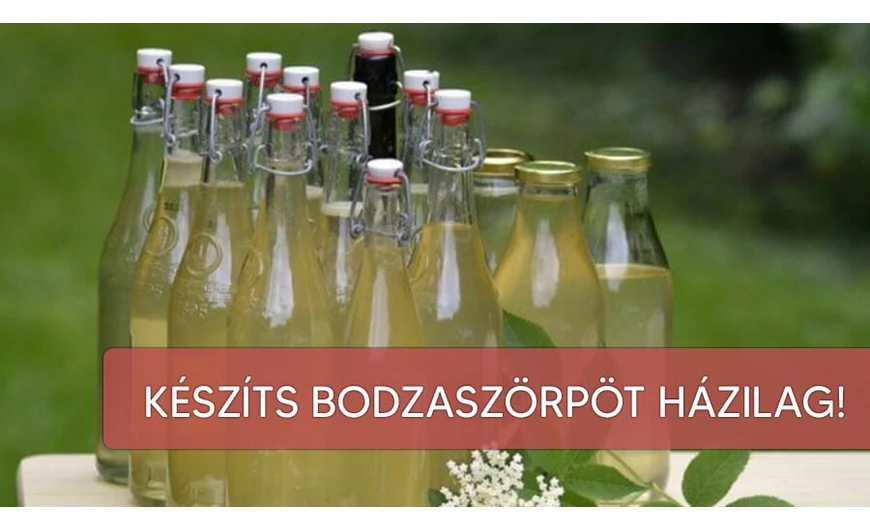 Bodzaszörp házilag