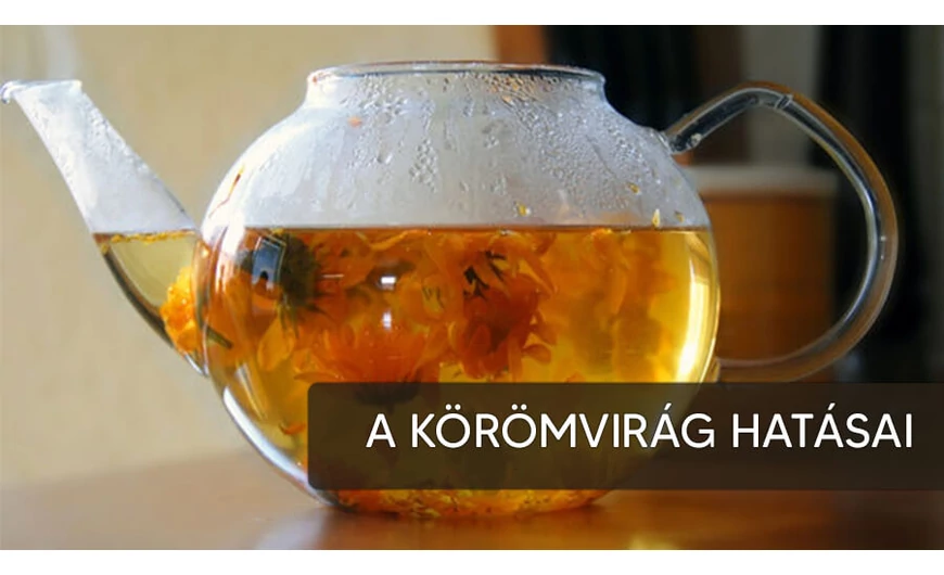 Körömvirág (Calendula officinalis) hatása