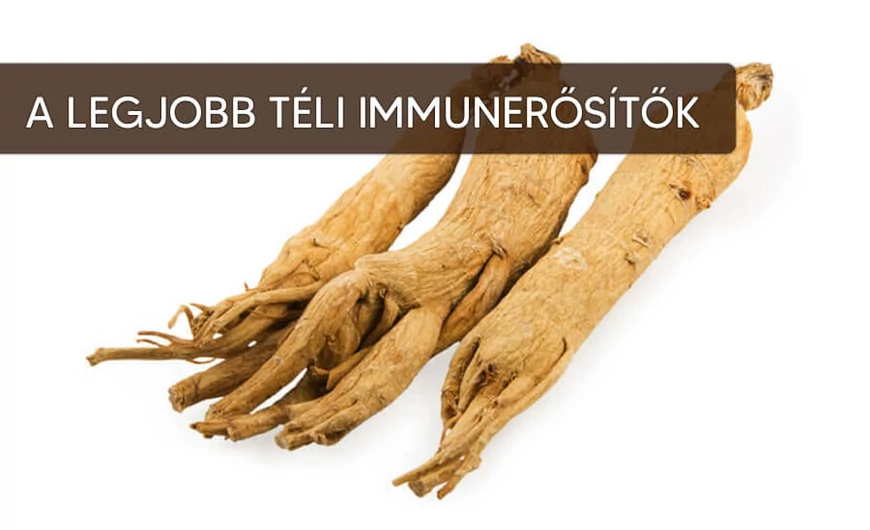 Téli immunerősítők 1. rész
