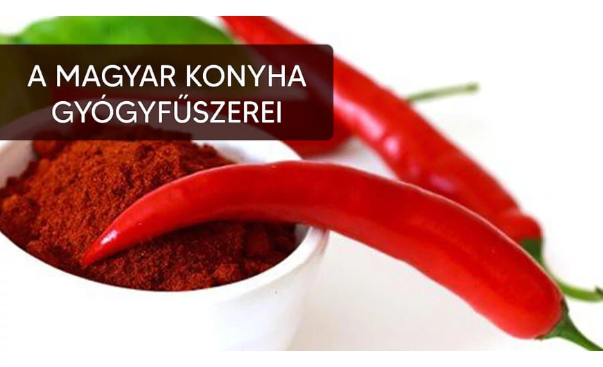 A magyar konyha nagyszerű gyógyító fűszerei! 