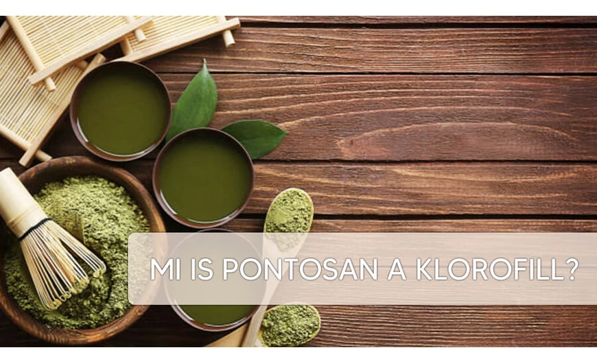Mi a klorofill? 