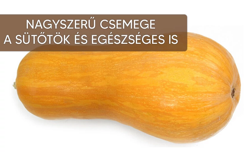 Sütőtök, az aranyszínű csemege