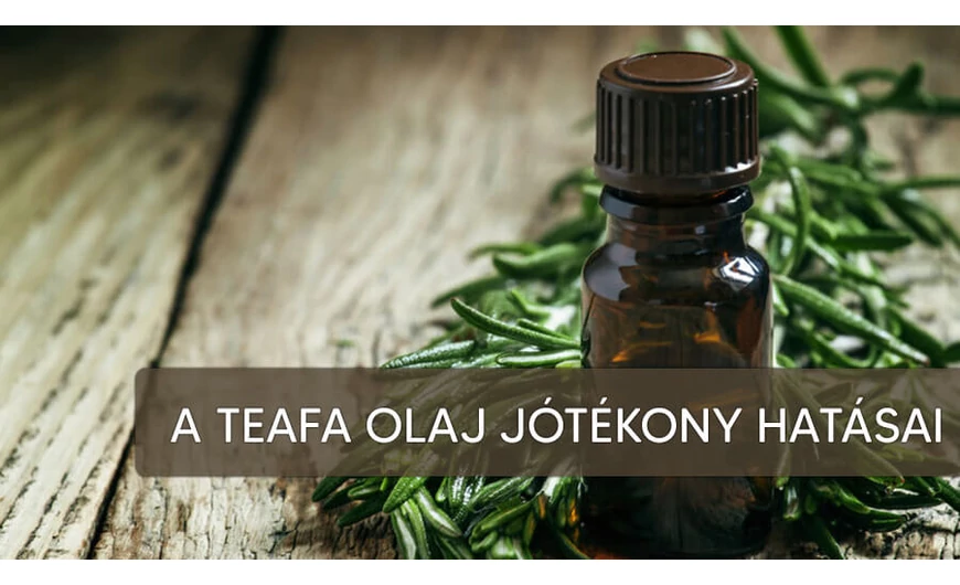 A teafa olaj jótékony hatása