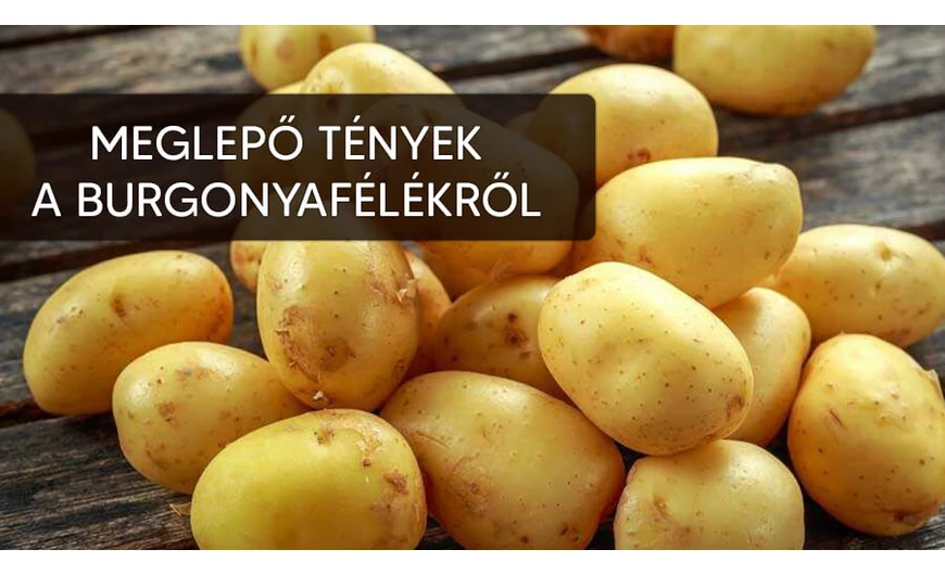 A legmeglepőbb tények a burgonyafélékről