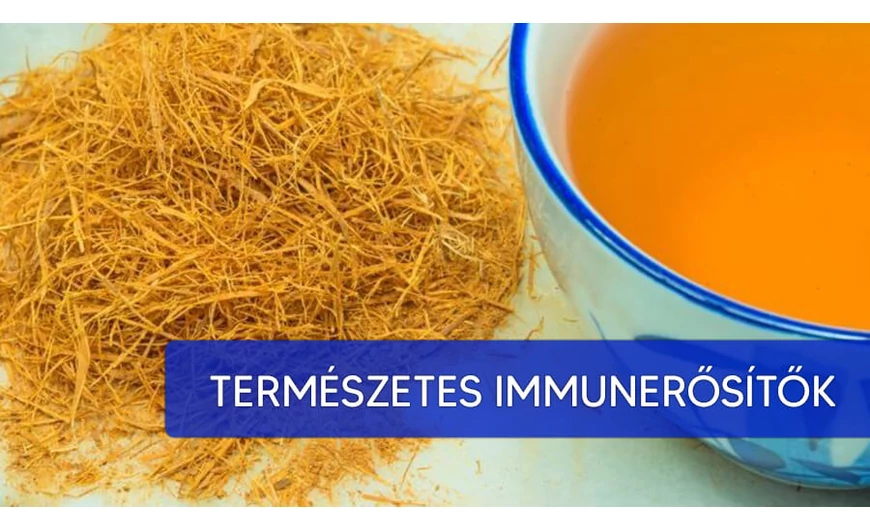 A legjobb természetes immunerősítők listája