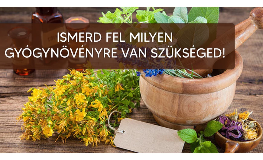 Természetgyógyász becsületkódex - Ismerd fel, hogy kire és mire van szükséged!