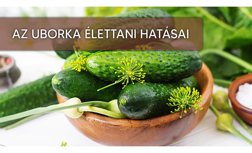 Az uborka hatásai