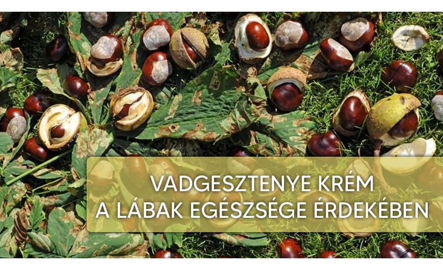 ​Vadgesztenye krém, a lábak egészségének őre