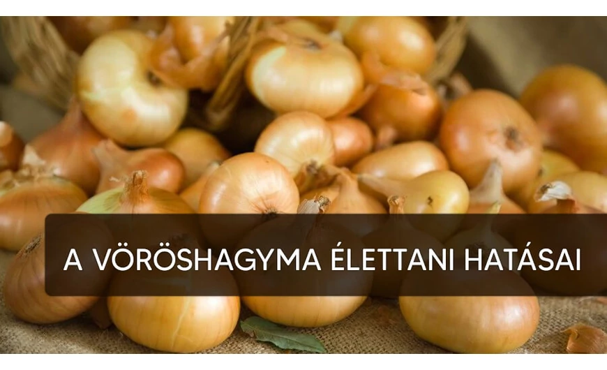 A csodálatos  vöröshagyma