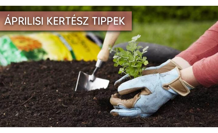 Az áprilisi kertészkedésről