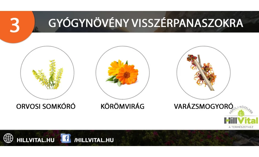 3 hatásos gyógynövény visszérre