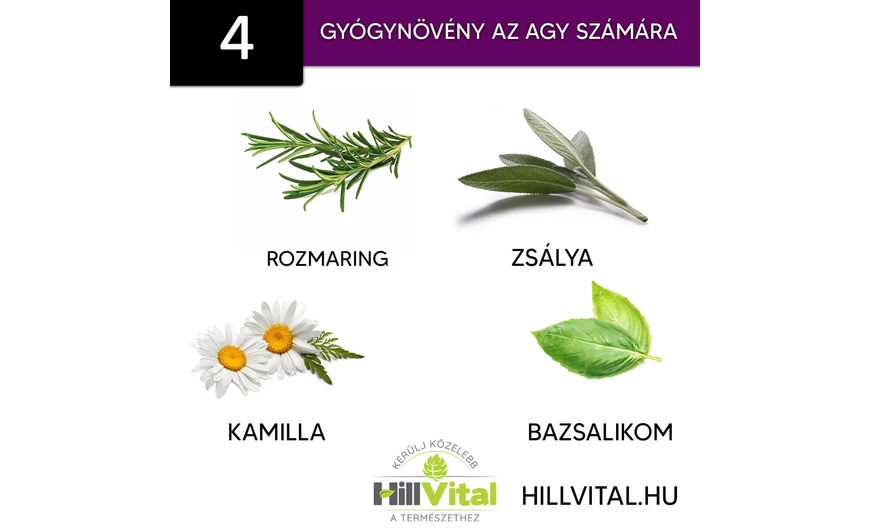 4 gyógynövény az agy egészsége érdekében