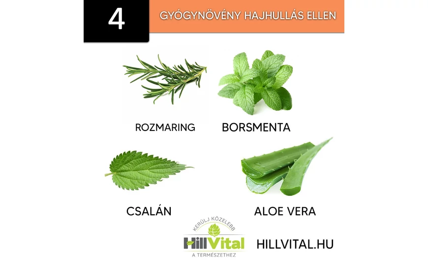 4 gyógynövény hajhullás ellen