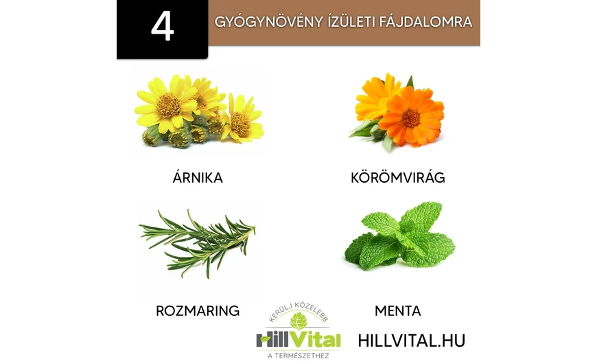 4 gyógynövény az ízületi fájdalom kezelésére