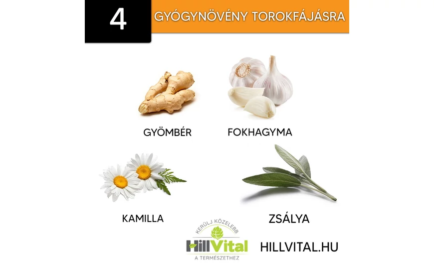 4 gyógynövény a torokfájdalom csillapítására