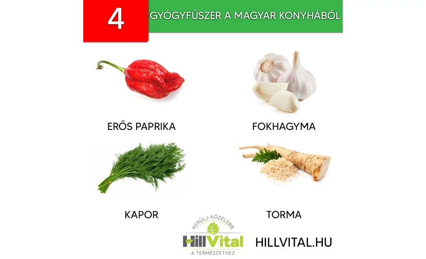 4 gyógynövény a magyar konyhából! 